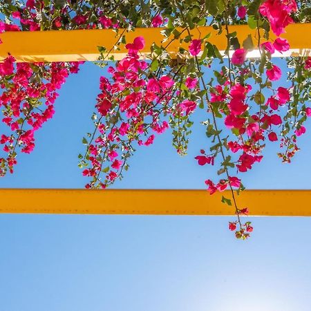 Estia Tinos Villa ภายนอก รูปภาพ